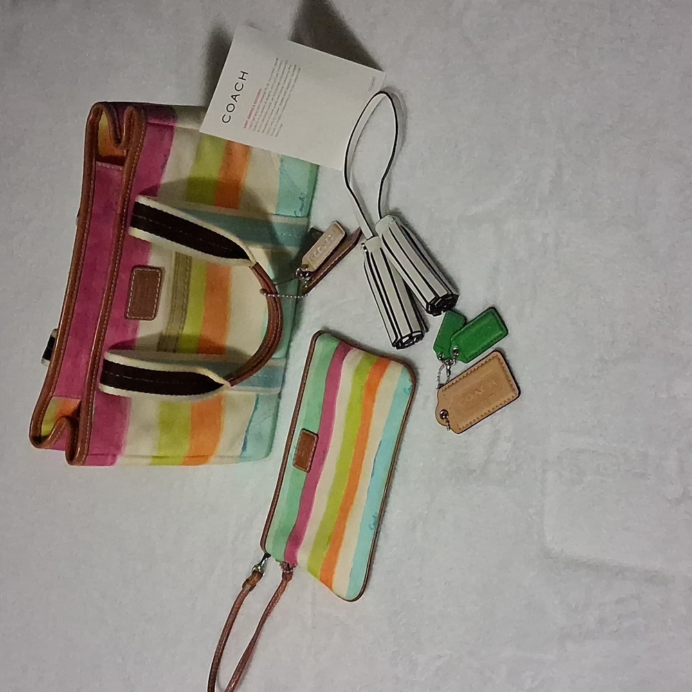 Coach Multicolor Striped Women's Bag